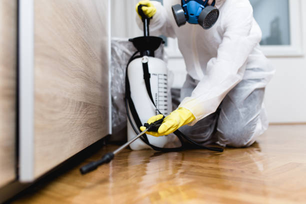 Best Termite Control Services  in Palm Bay, FL