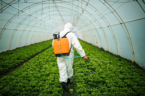 Best Affordable Pest Control Services  in Palm Bay, FL