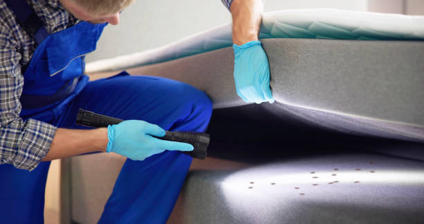  Palm Bay, FL Pest Control Pros