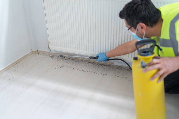 Best Residential Pest Control  in Palm Bay, FL