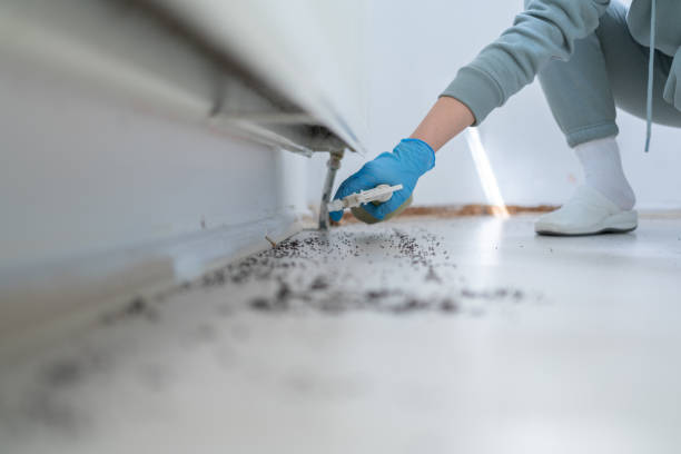Best Pest Prevention Services  in Palm Bay, FL