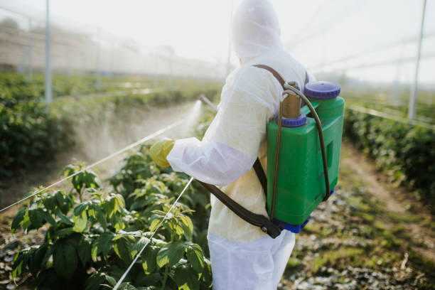 Pest Control for Restaurants in Palm Bay, FL